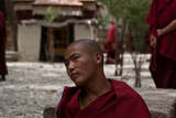 Lhasa  Sera 2007 